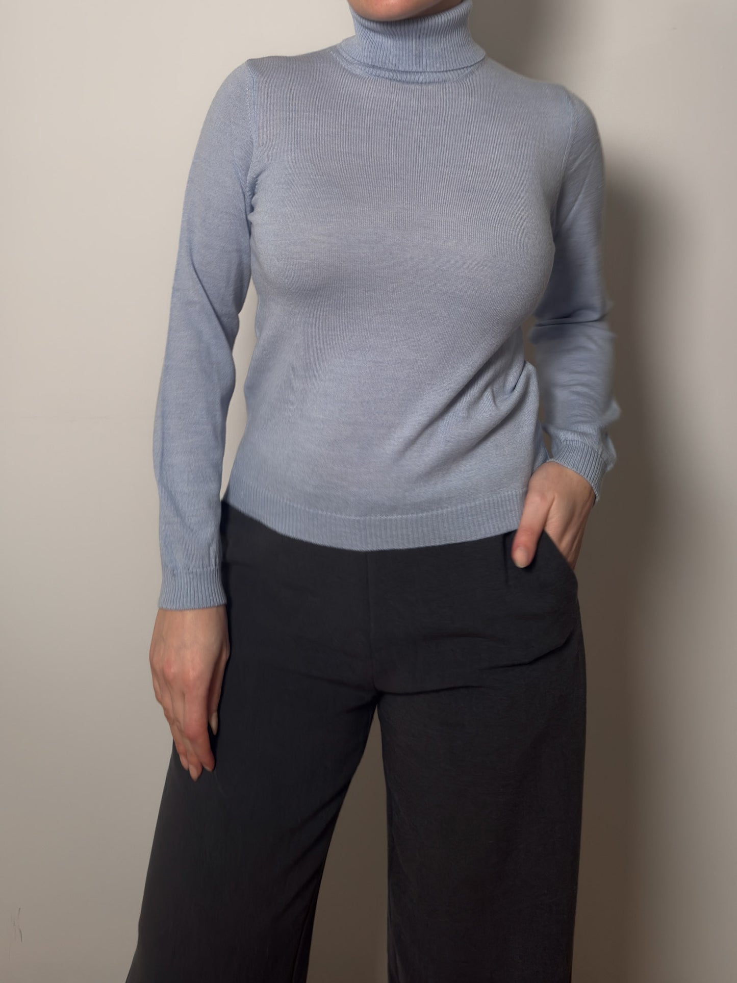 Pure merino wool sky turtleneck pull