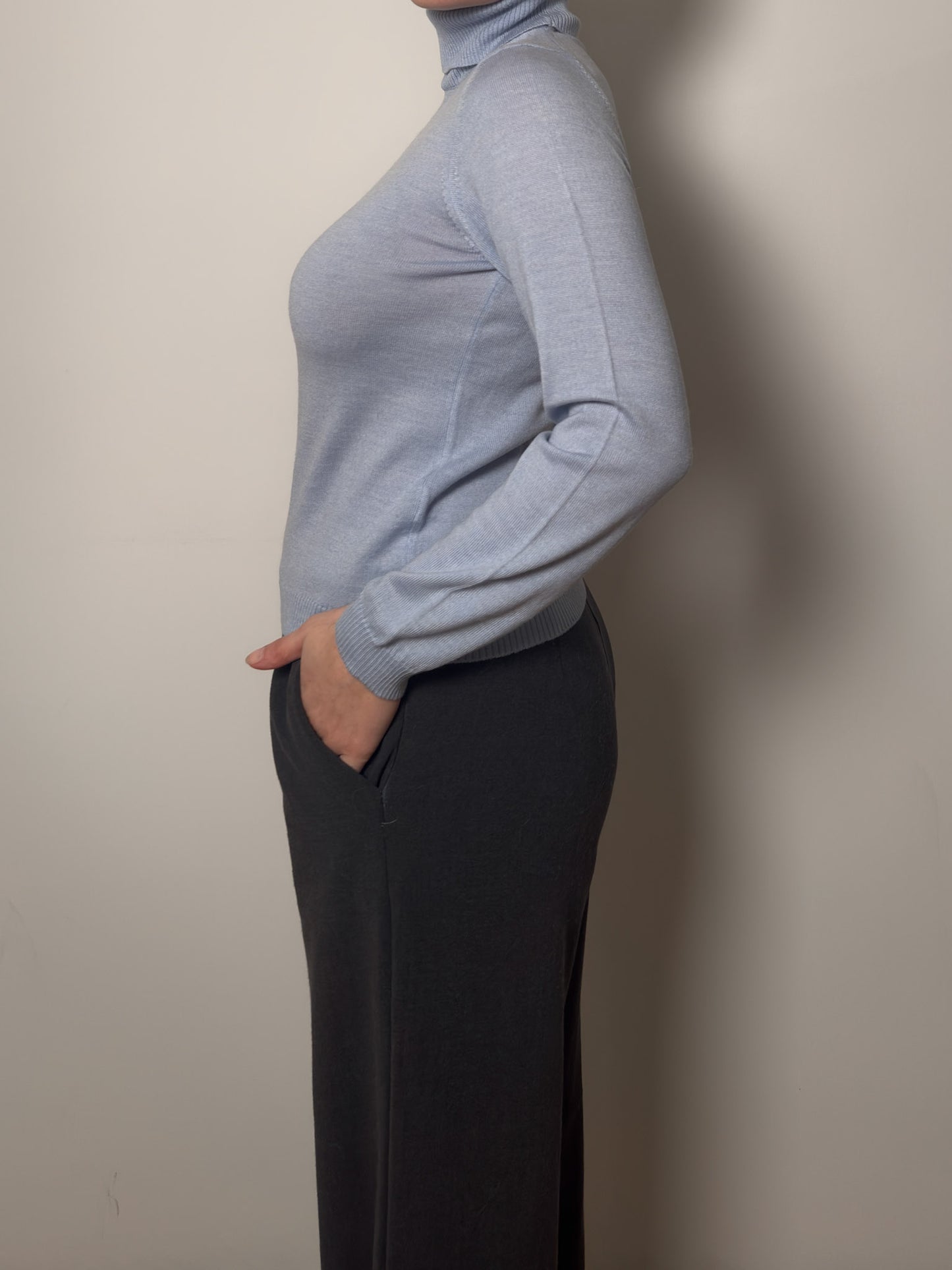 Pure merino wool sky turtleneck pull