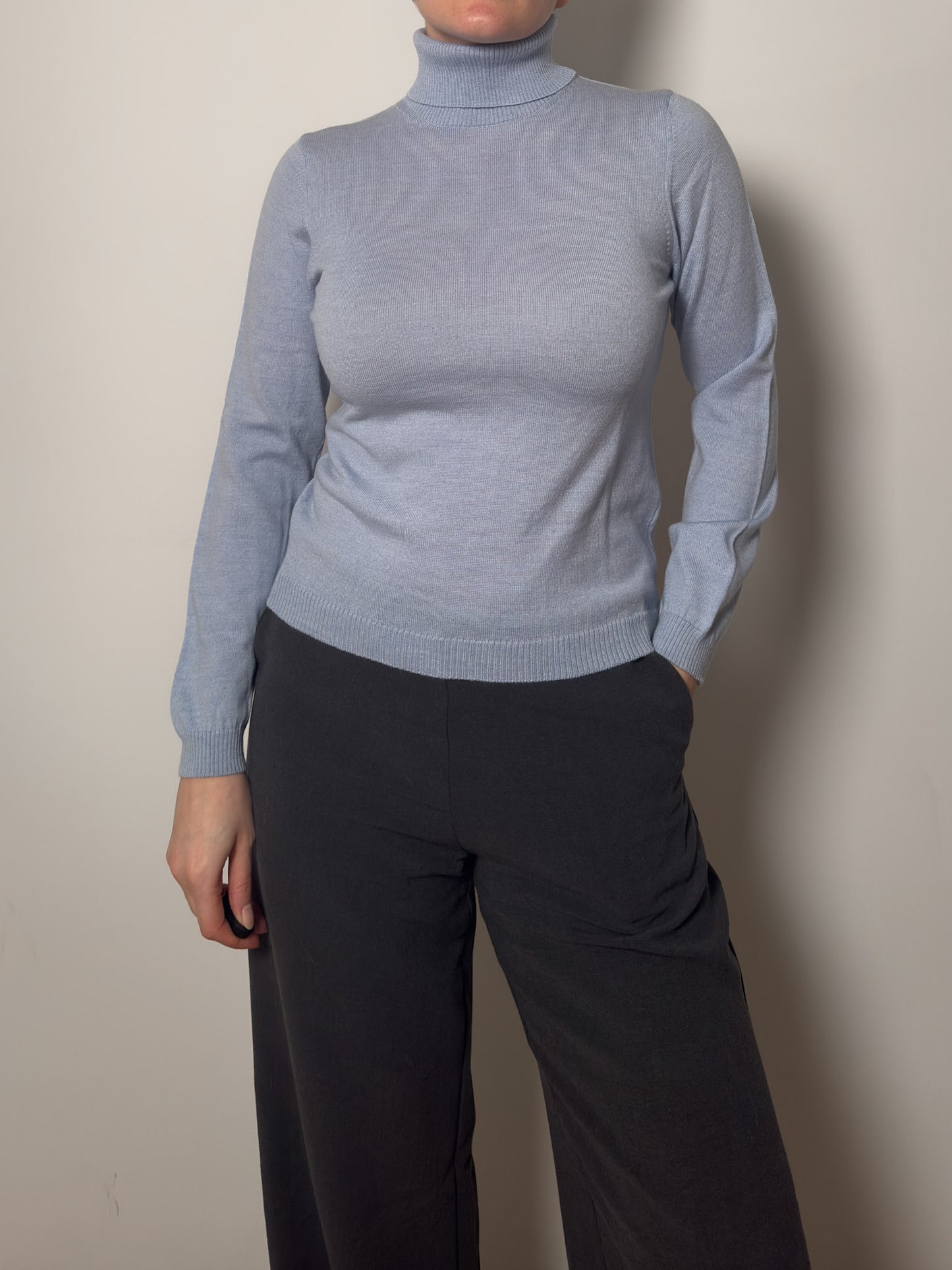 Pure merino wool sky turtleneck pull
