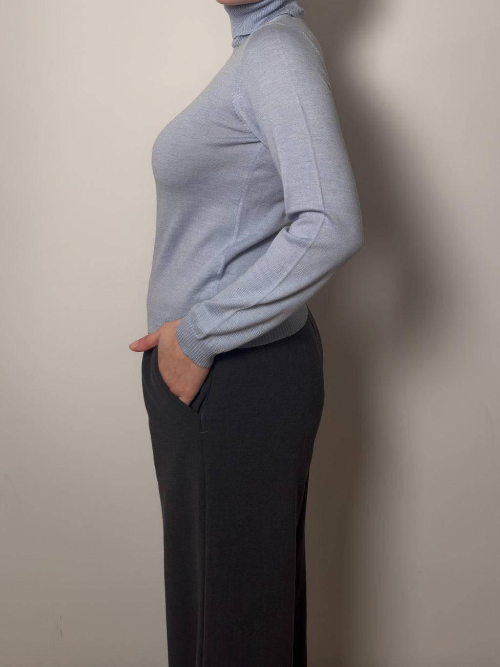 Pure merino wool sky turtleneck pull