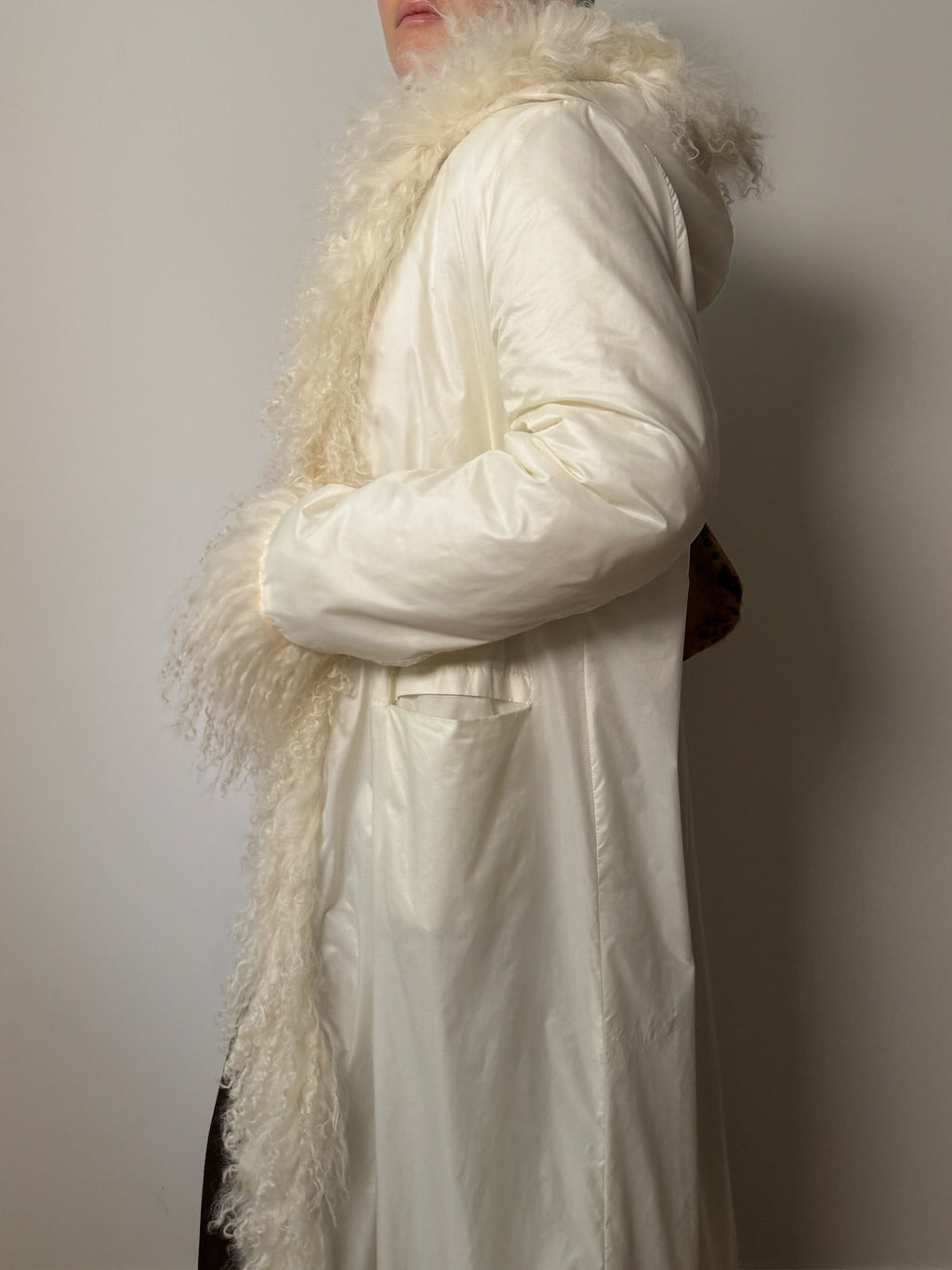 Mongolian ivory puffer