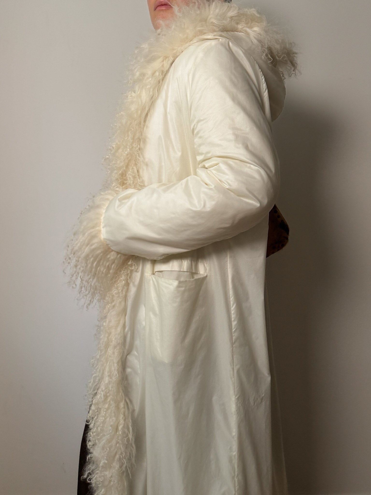 Mongolian ivory puffer