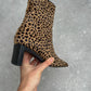 Baldini animalier ankle boots